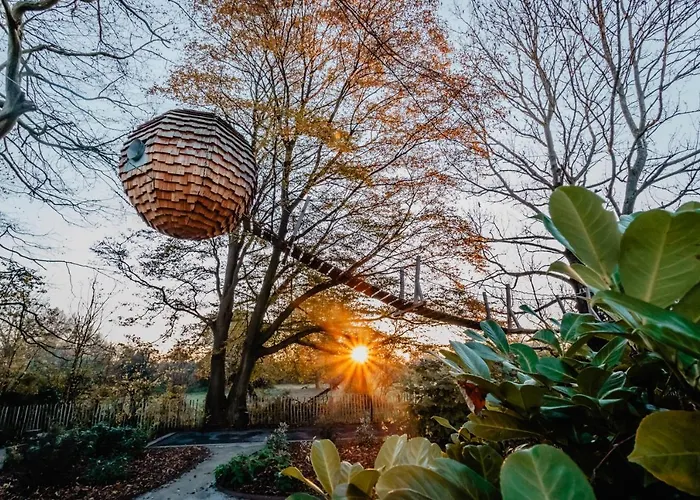 Suspendue * Wargnies-le-Petit